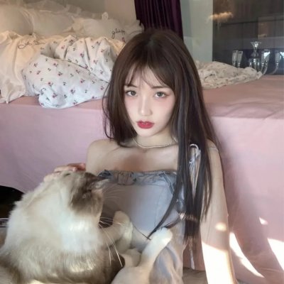公猫